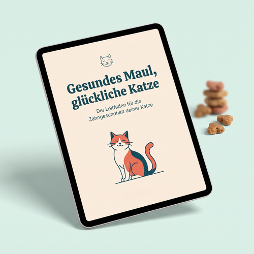 eBook - Gesundes Maul, glückliche Katze